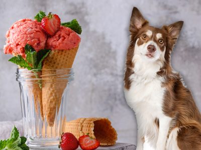 can dogs eat red bean ice cream?