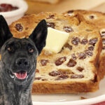 Can Dogs Eat Raisin Toast