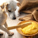 can dogs eat polenta