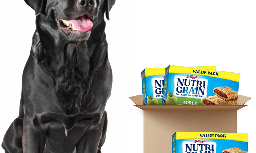 Can Dogs Eat Nutri-Grain?