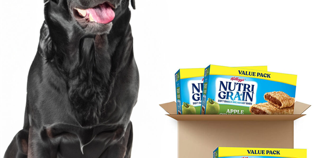 Can Dogs Eat Nutri-Grain?